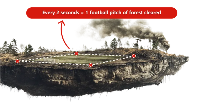 A floating island of cleared land with smoke rising behind it. A dashed outline marks a football pitch, labelled: every 2 seconds, one football pitch of forest is cleared.