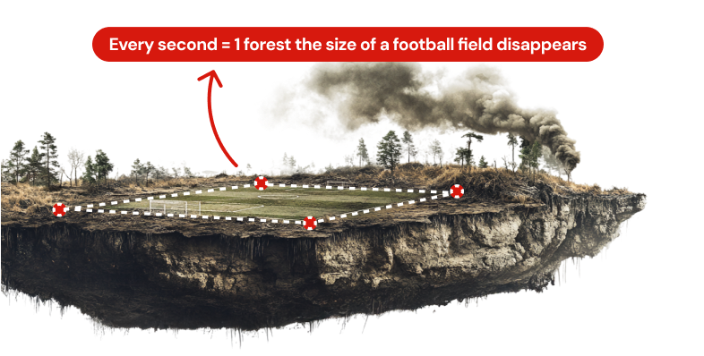 deforestation_the crisis is real-1