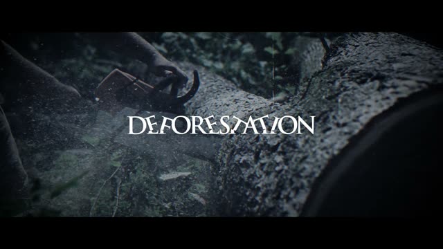 Chainsaw on a felled tree trunk, with the film title &ldquo;Deforestation&rdquo;