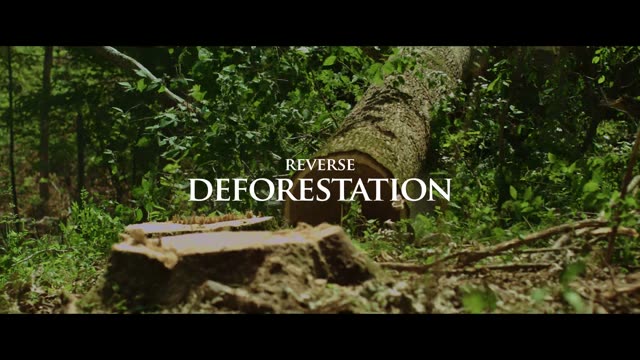 The same felled trunk as the forest around it turns green, with the title &ldquo;Reverse deforestation&rdquo;