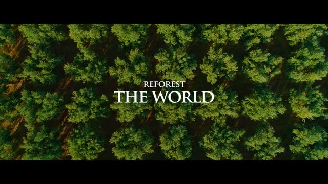 Aerial view of dense green forest, with the title &ldquo;Reforest the world&rdquo;